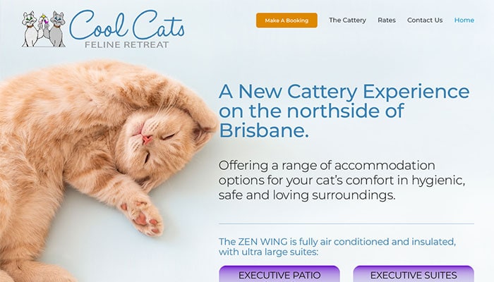 cool-cats-feline-retreat